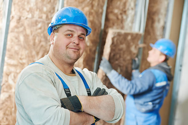 Best Residential Insulation in Victoria, TX