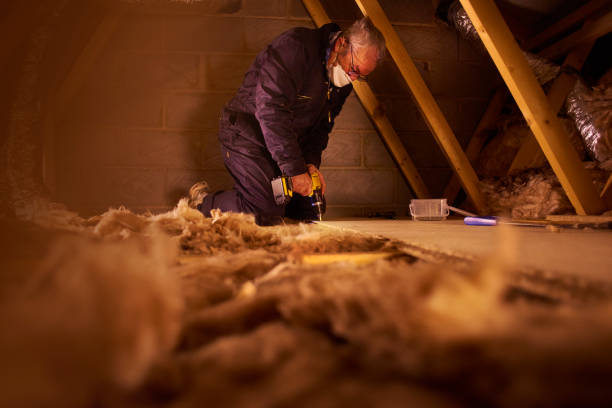 Best Types of Insulation in Victoria, TX